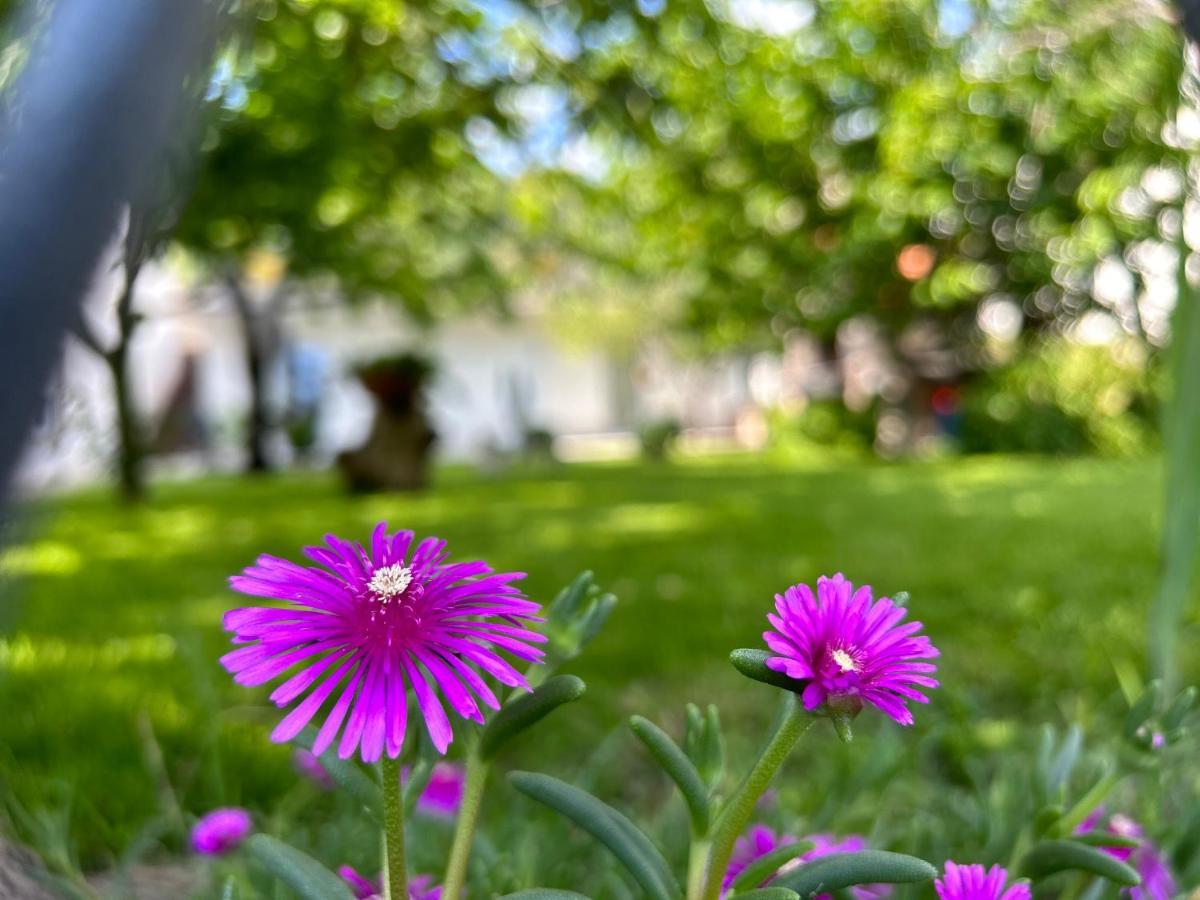 Apartment River Klis Εξωτερικό φωτογραφία
